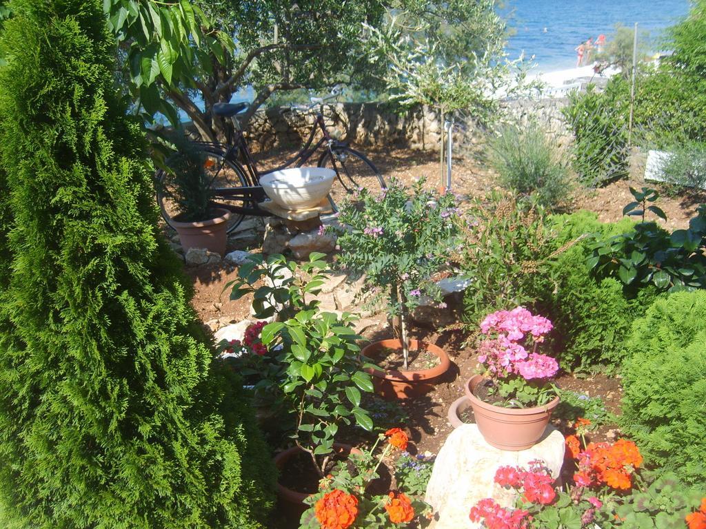 Apartments Iva Alla Trogir Room photo